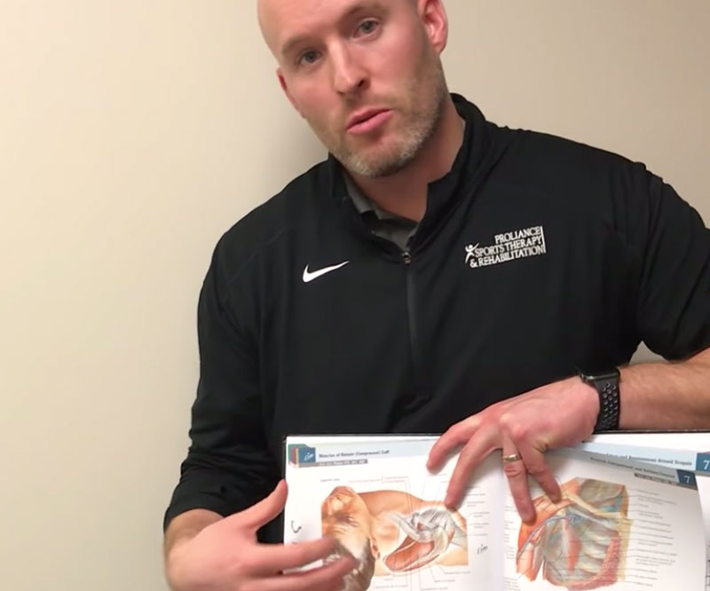 Anatomy of the Rotator Cuff Proliance Sports Therapy